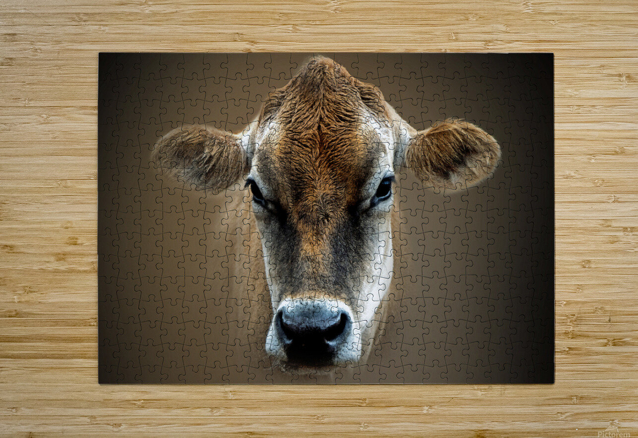 Over the MOOON B Zolle Puzzle printing