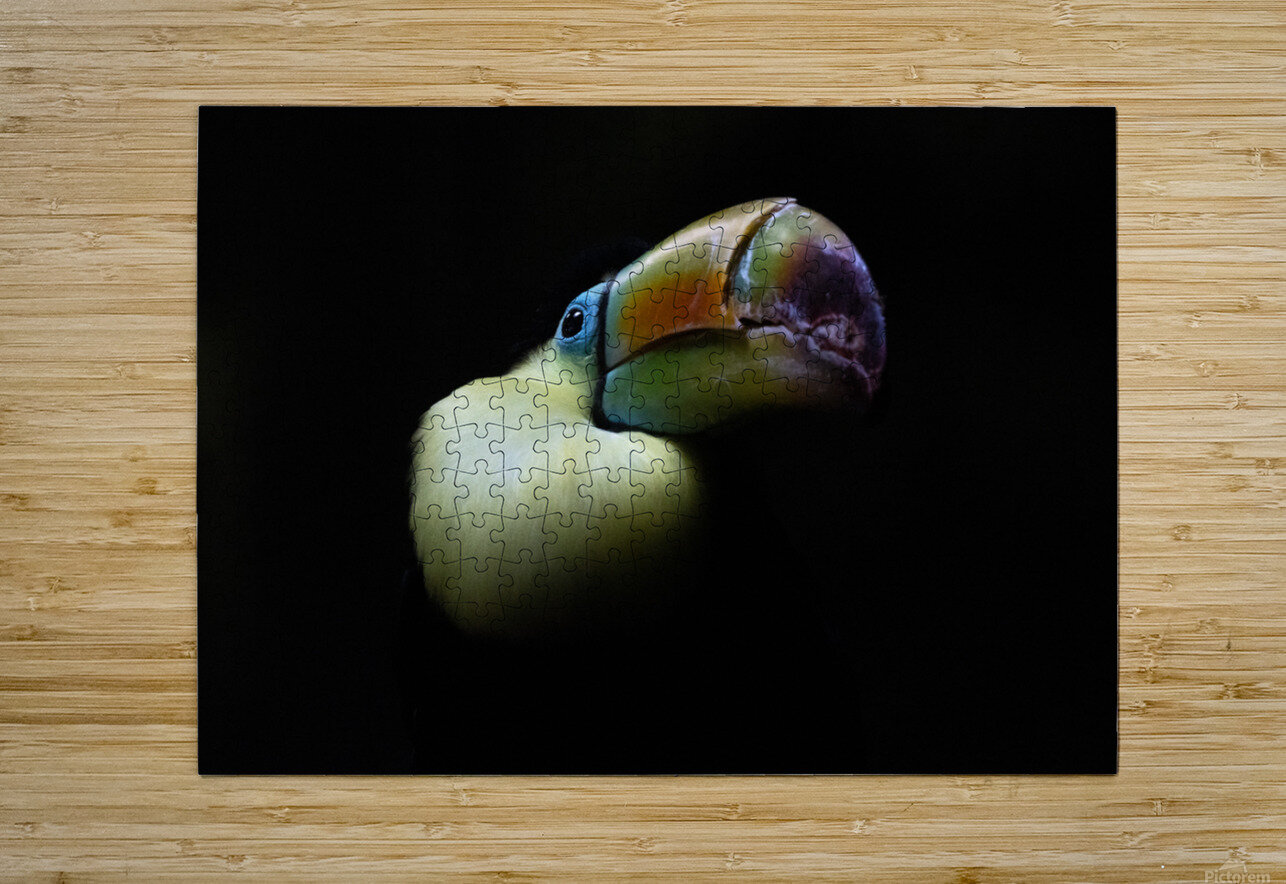 In the Light B Zolle Puzzle printing