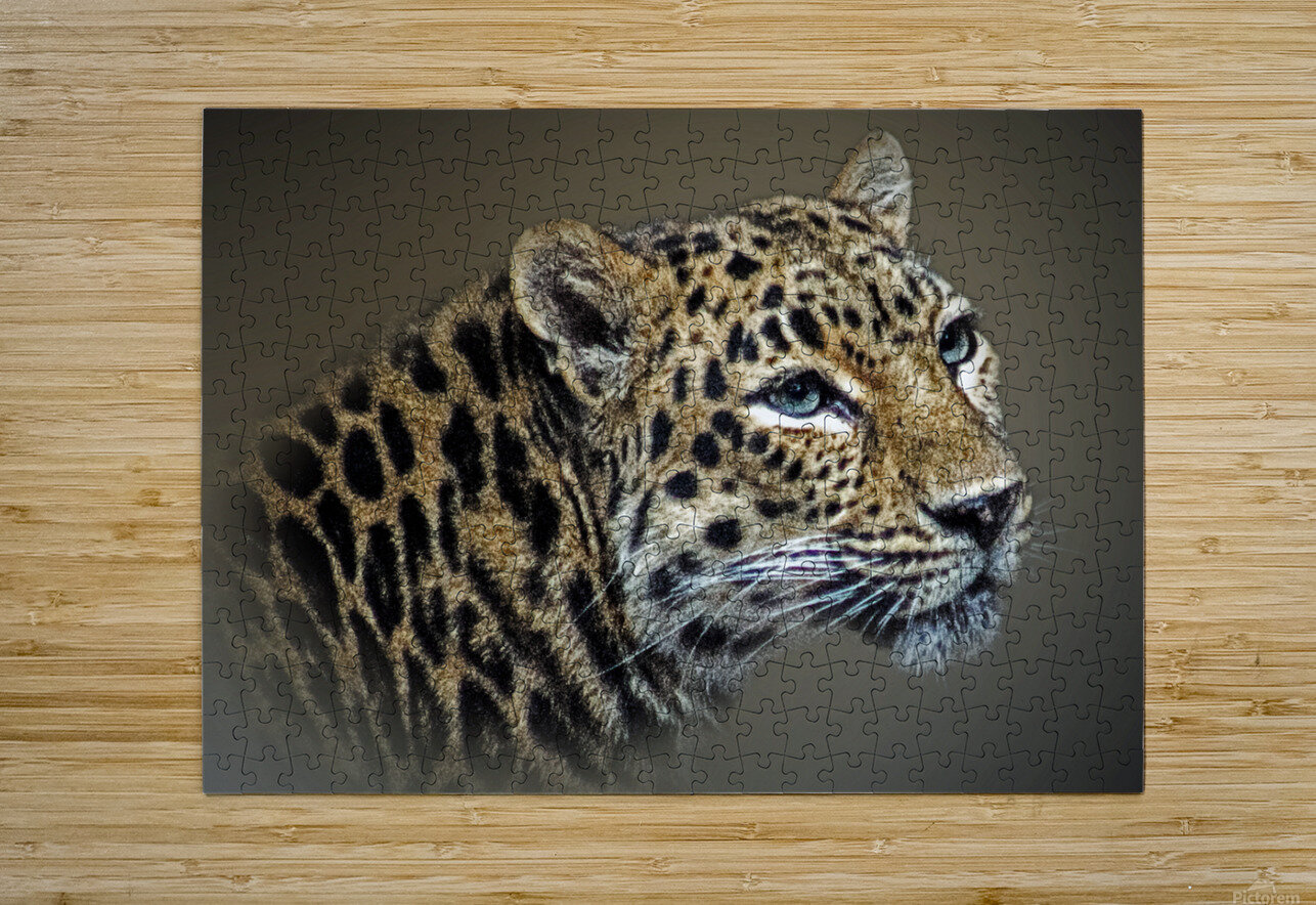 Purrty B Zolle Puzzle printing