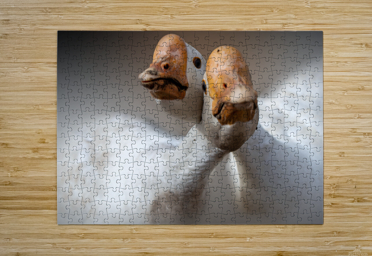 We Love You B Zolle Puzzle printing