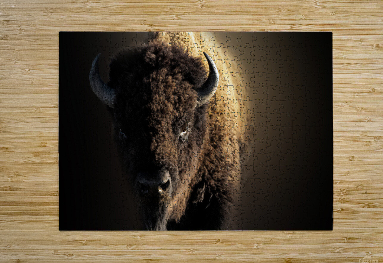 Wandering In B Zolle Puzzle printing