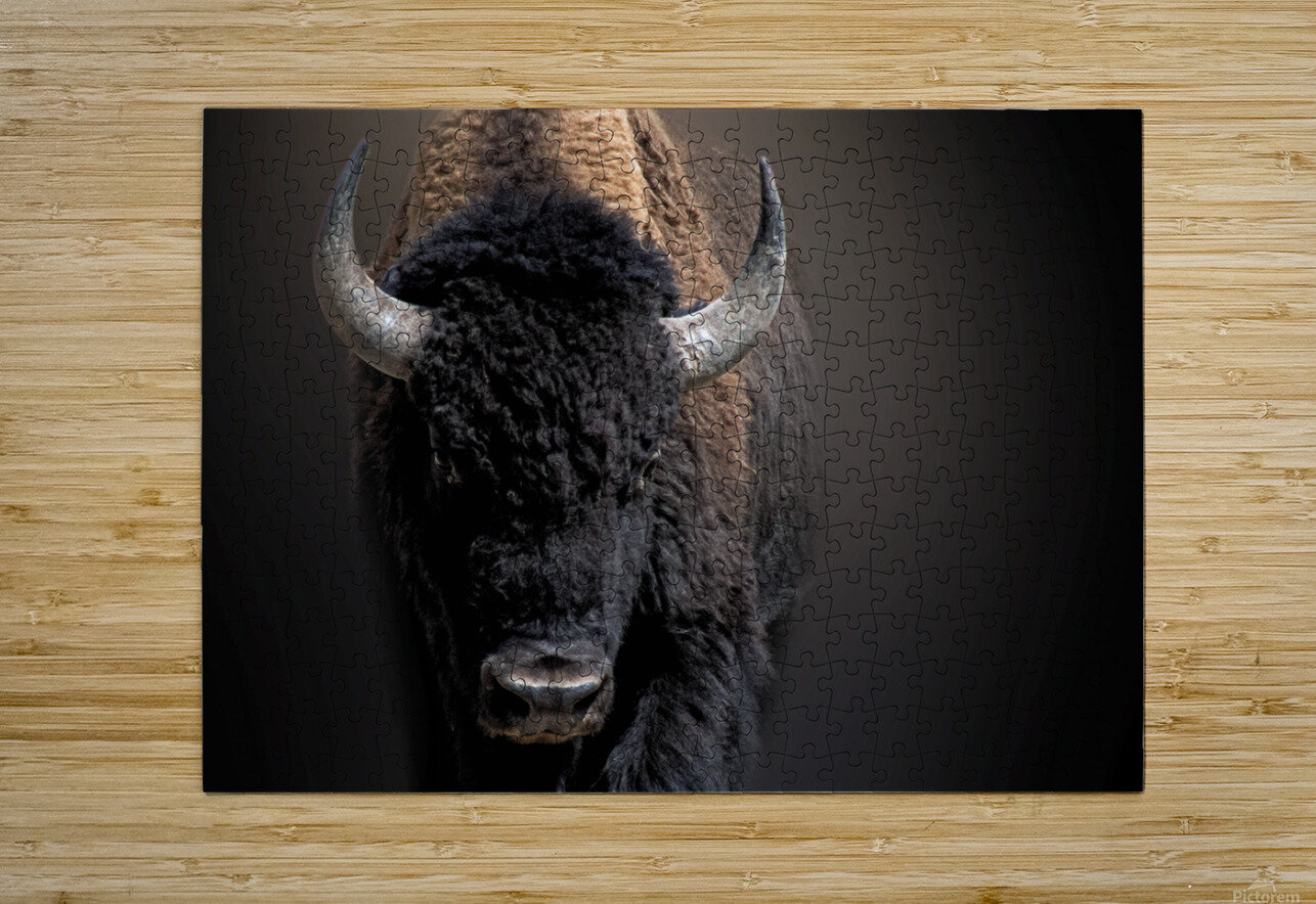 The Business End B Zolle Puzzle printing