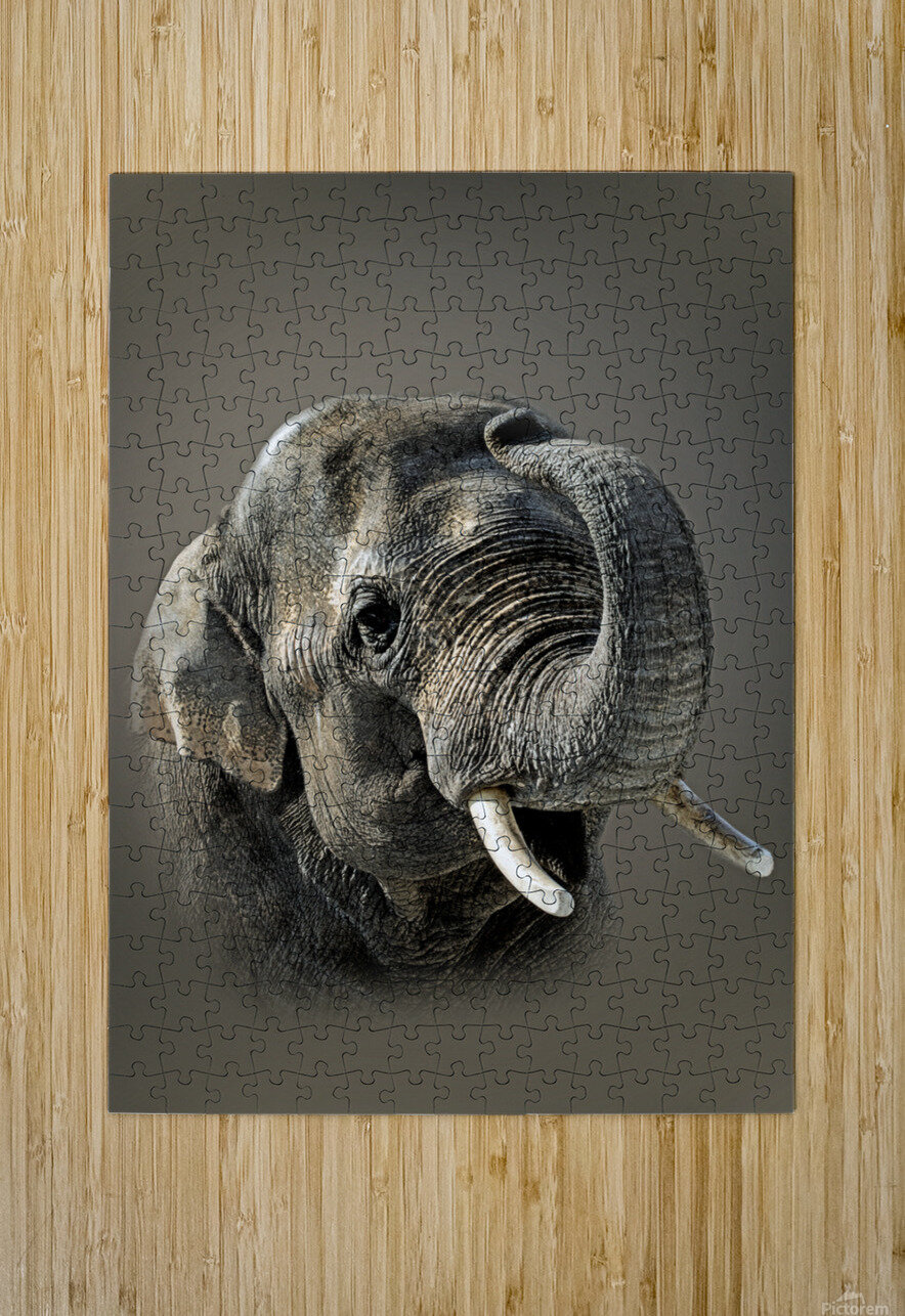 Asian B Zolle Puzzle printing