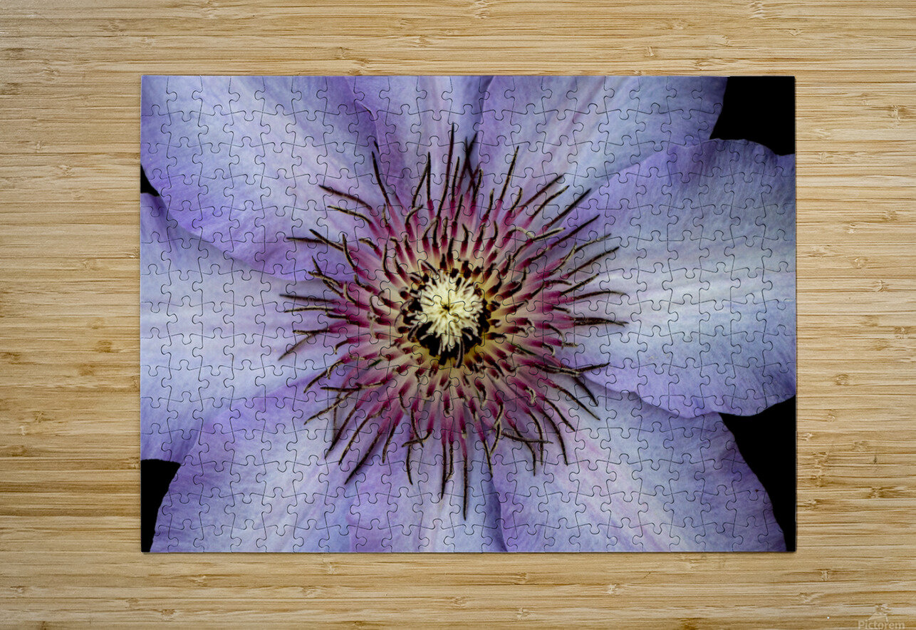 Clap Burst B Zolle Puzzle printing