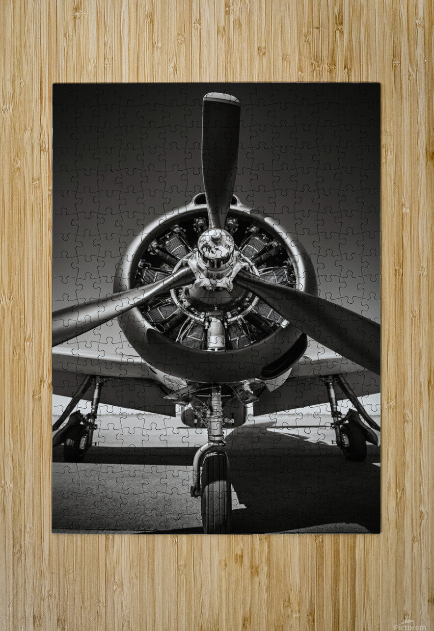 t28 trojan Frank Peters Puzzle printing