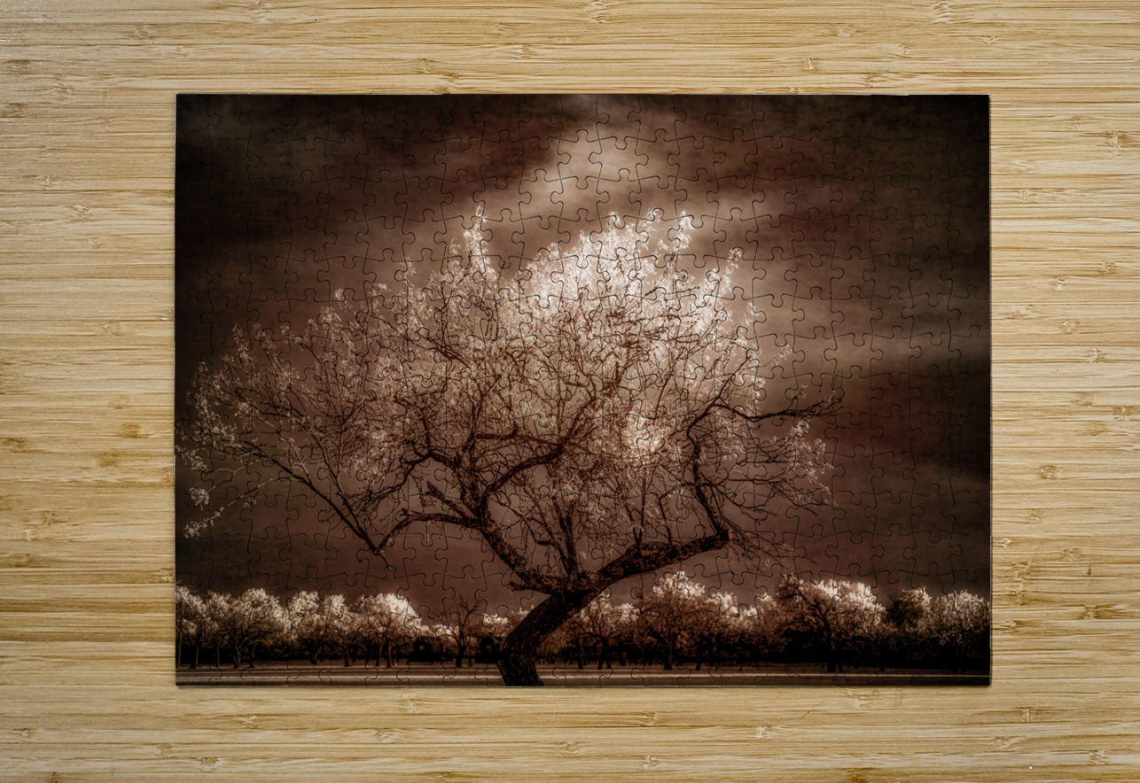  Twilight Tranquility: Capturing Natures Crown Light Splendor Dream World Images Puzzle printing