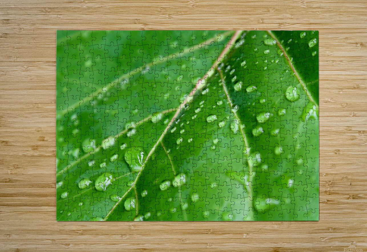 Green leaf with raindrops. CameraOldStyle Puzzle printing