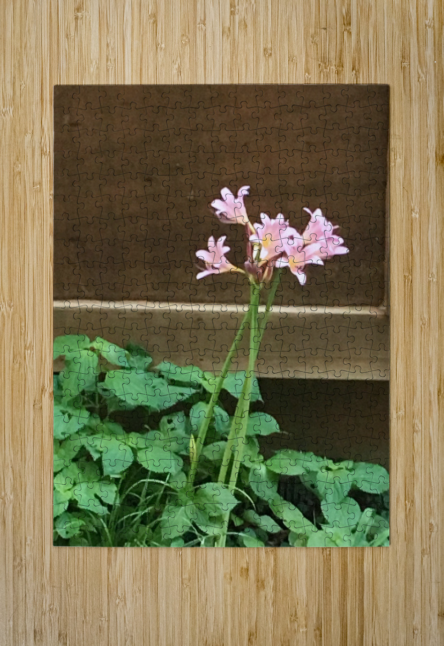 DA6C2393 A60F 43E0 98CD B853A7419173 BCreativeLori Puzzle printing