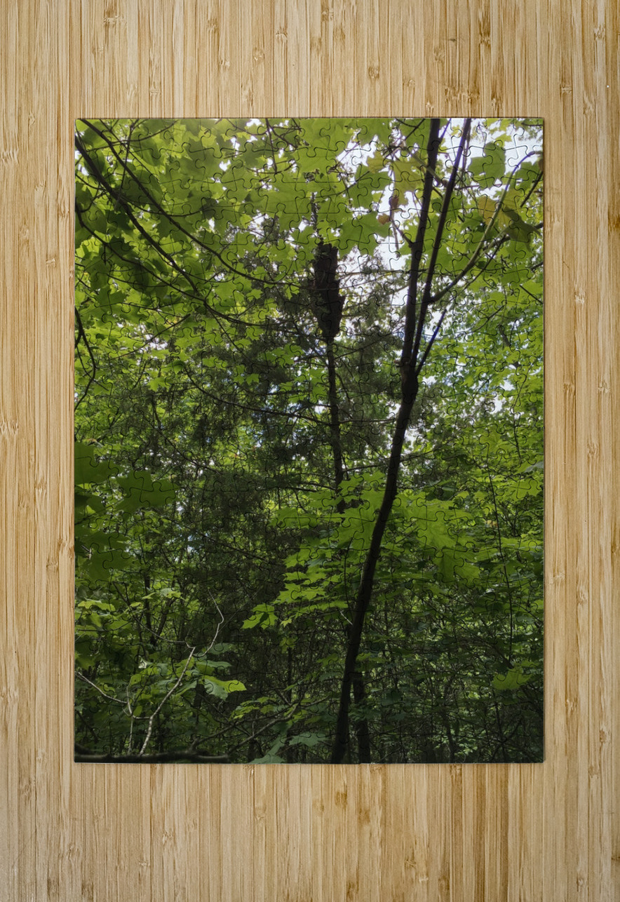 E5A1D5D7 F7D3 40D3 BA47 071C727454C0 BCreativeLori Puzzle printing