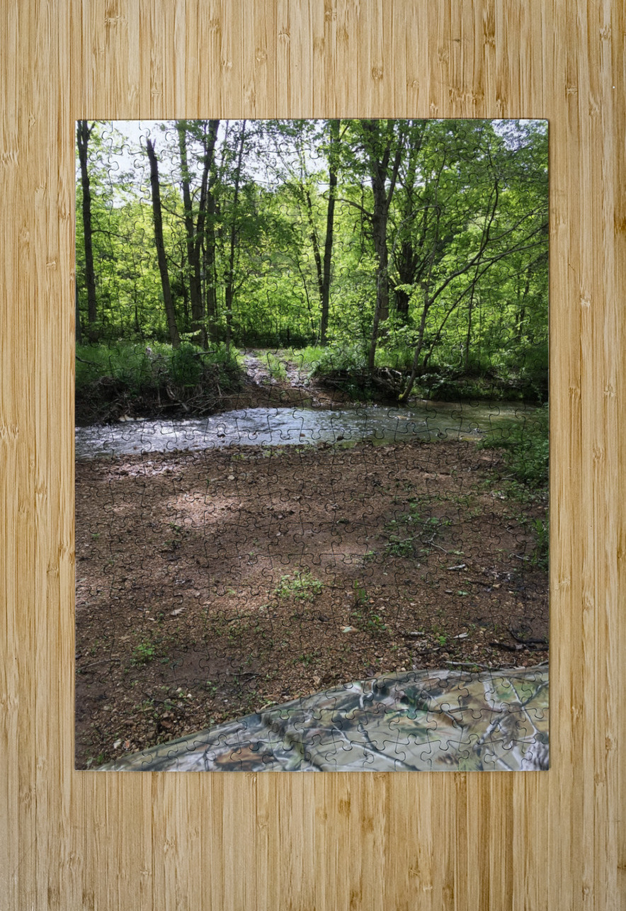 98FE13CE 825F 4D54 9BAF 96484FDA03C2 BCreativeLori Puzzle printing