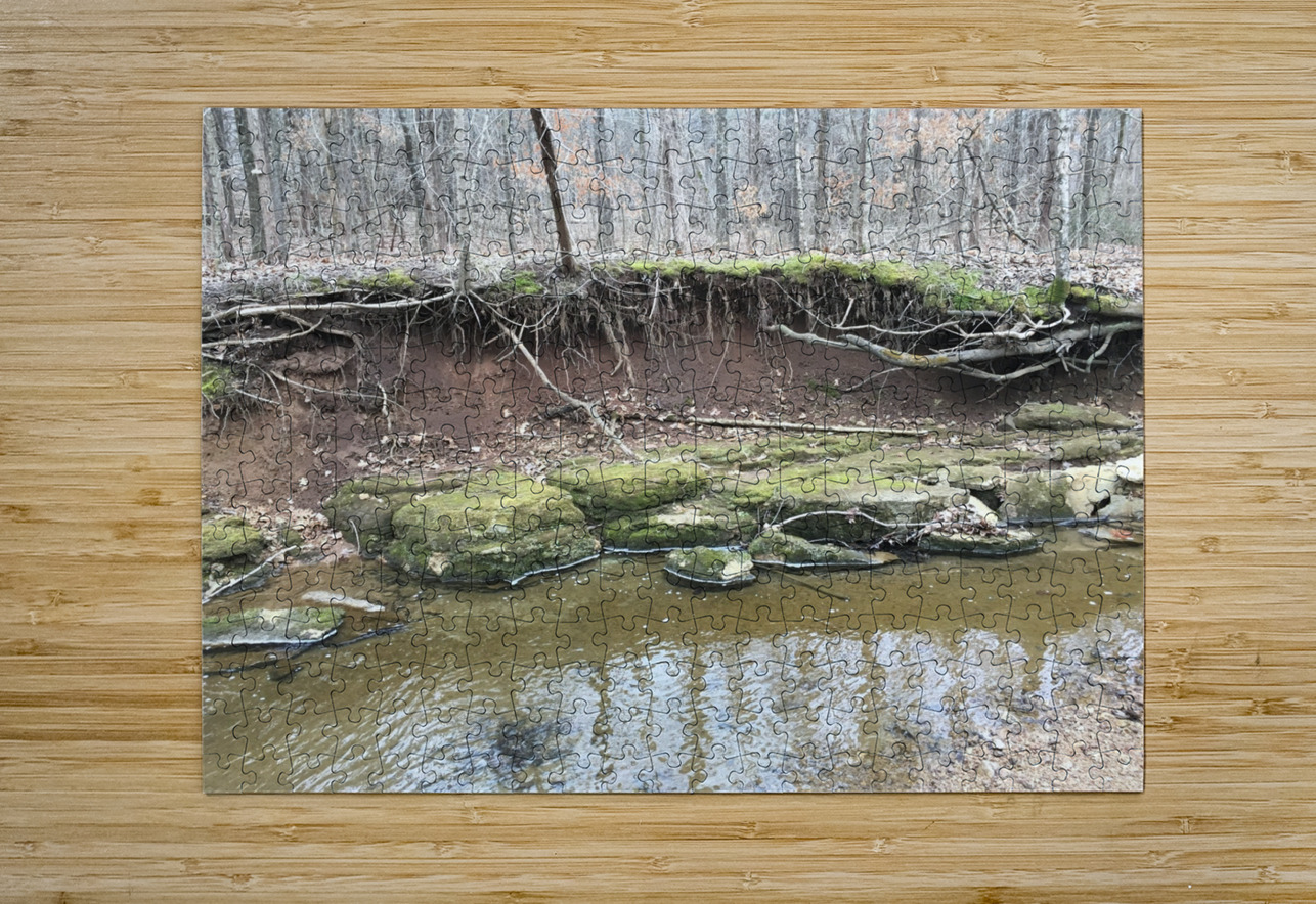 8D3B55C6 982D 4A05 A4E8 40277914F50C BCreativeLori Puzzle printing