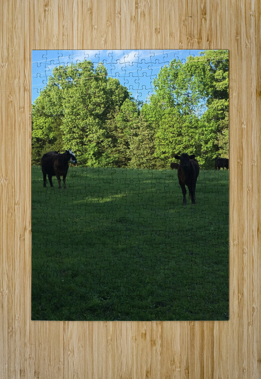 419FAC2D 7F14 403D AD16 C7AF74EDE89C BCreativeLori Puzzle printing