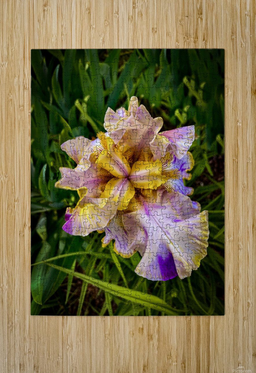 Queen Courageous Design by MaRiA Puzzle printing