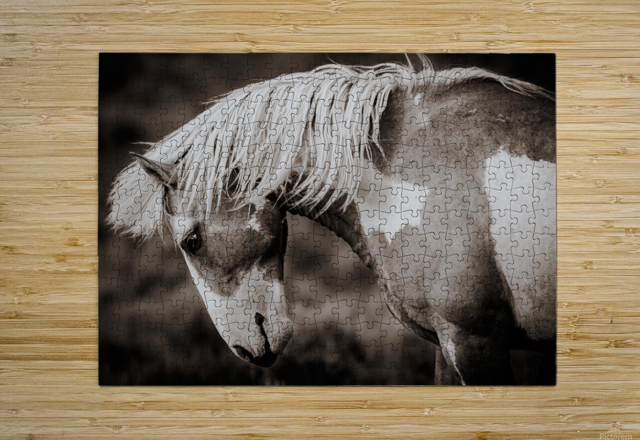 Meteor In Motion Weekend Vibes Photography Puzzle printing