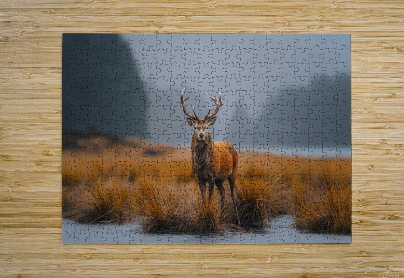 yakynuka Red deer are the iconic wildlife of the Joaquin Corbalan Puzzle printing