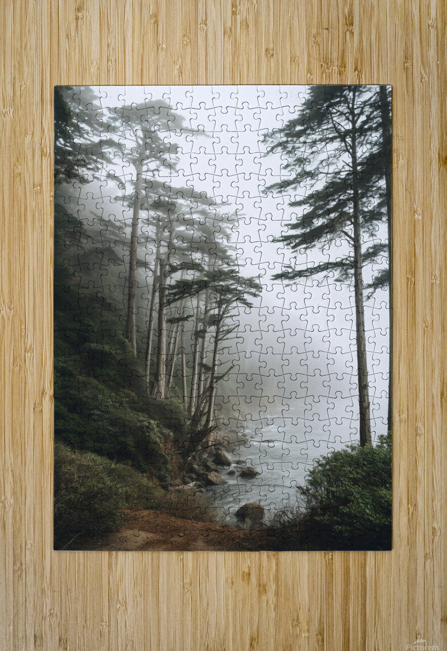  Foggy trees on the west coast Joaquin Corbalan Puzzle printing