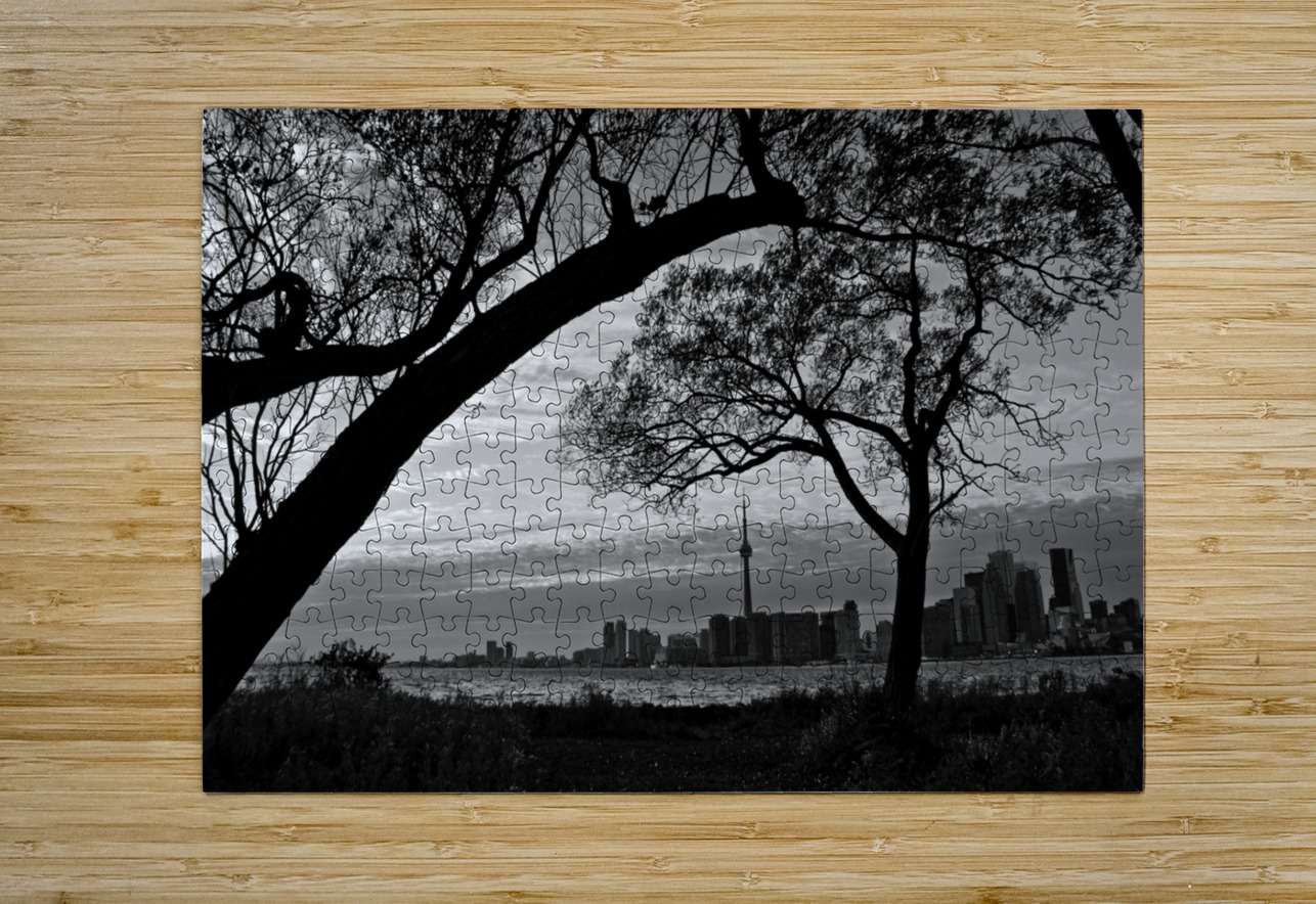 downtown toronto skyline from wards island  horiz Black And White Puzzle printing