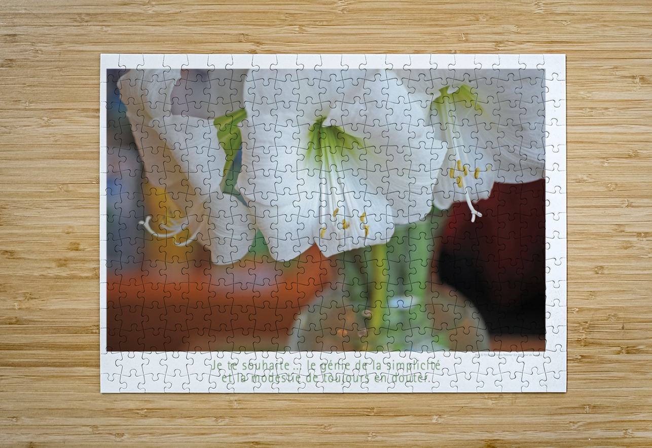 LE GENIE DE LA SIMPLICITE Francis Pelletier Puzzle printing