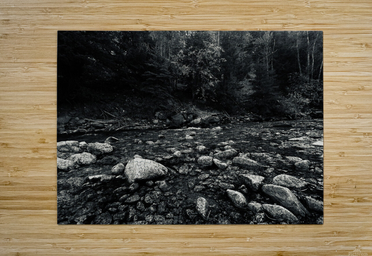 IMG 8124 Ox photography Puzzle printing