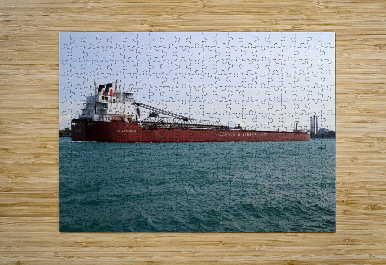 CSL Assiniboine 091717 Mary Bedy Puzzle printing