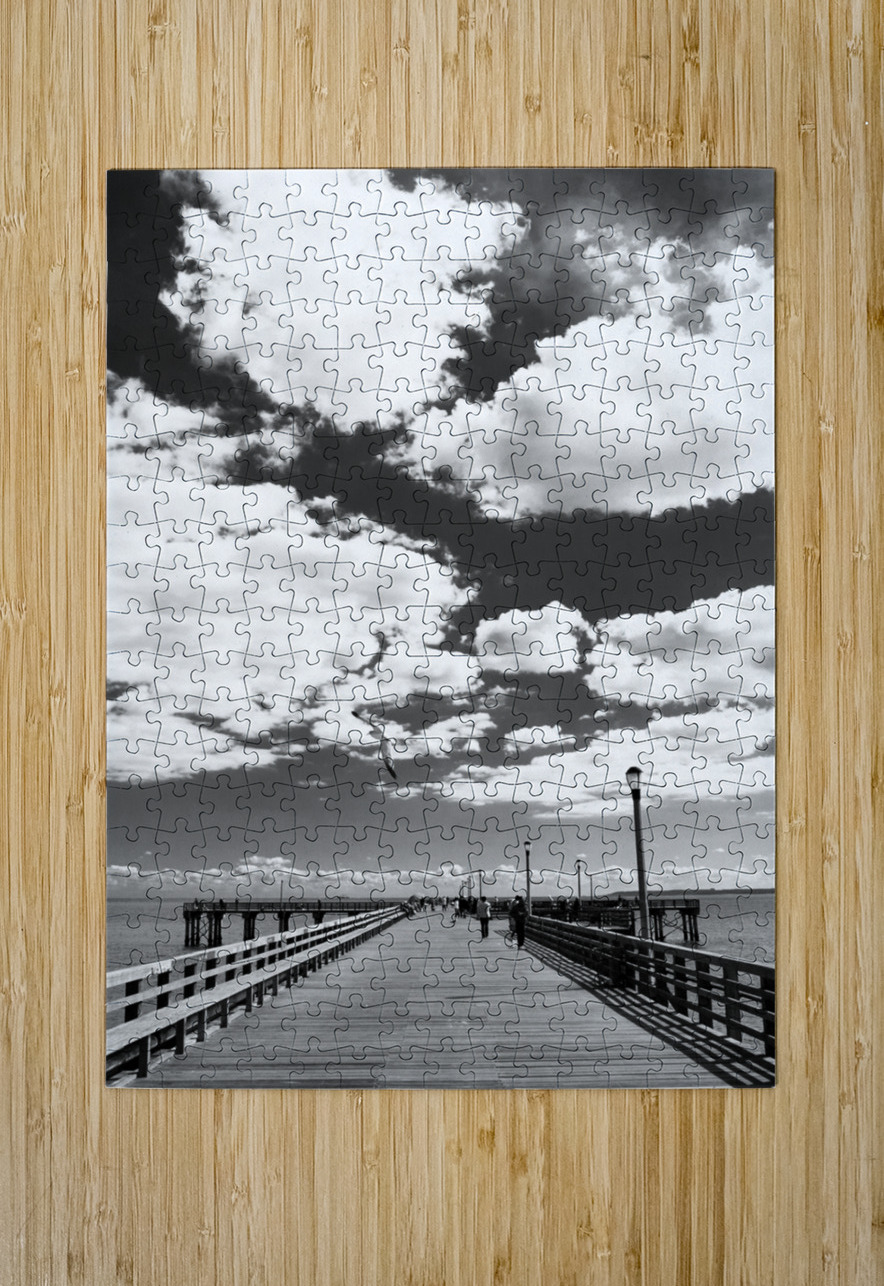 coney island pier  vertical 362 Gull 13k Black And White Puzzle printing