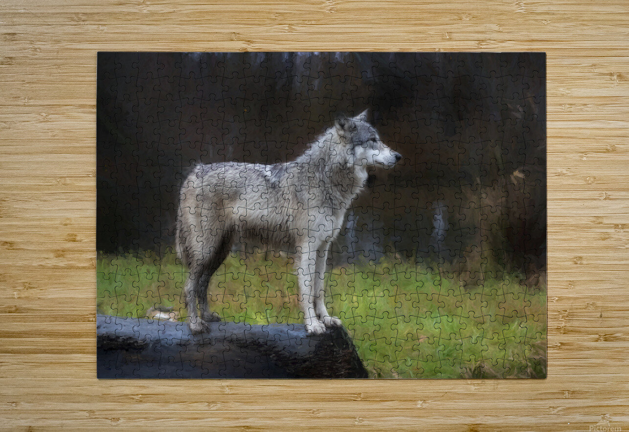 The wolf also known as the greygray wolf or timber wolf  Daniel L Friend Puzzle printing