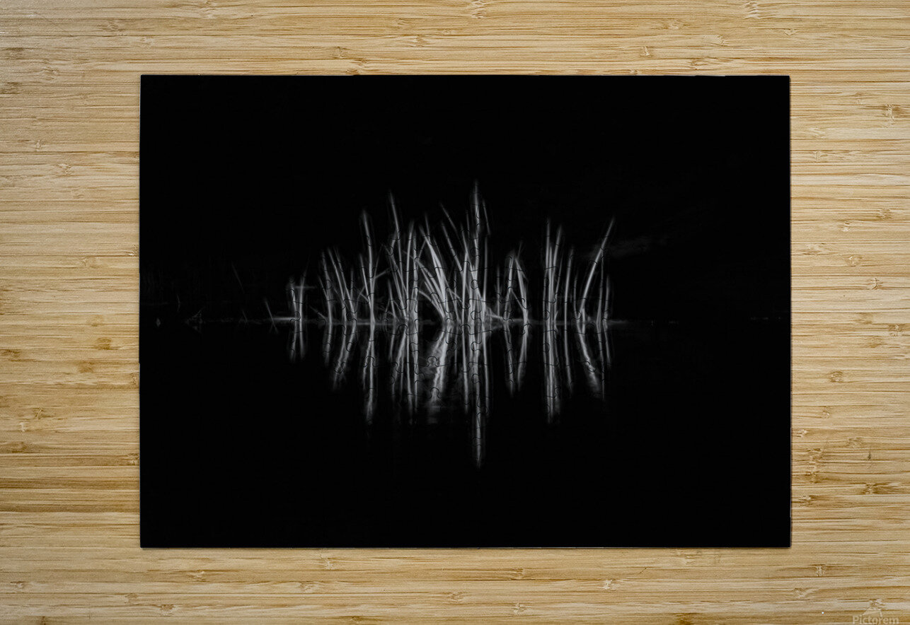 Reeds along the bank along a stream Daniel L Friend Puzzle printing