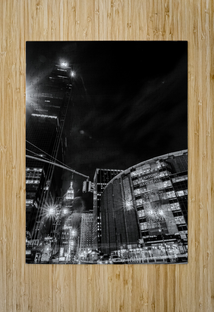 madison square garden penn station  vertical 1482 Black And White Puzzle printing