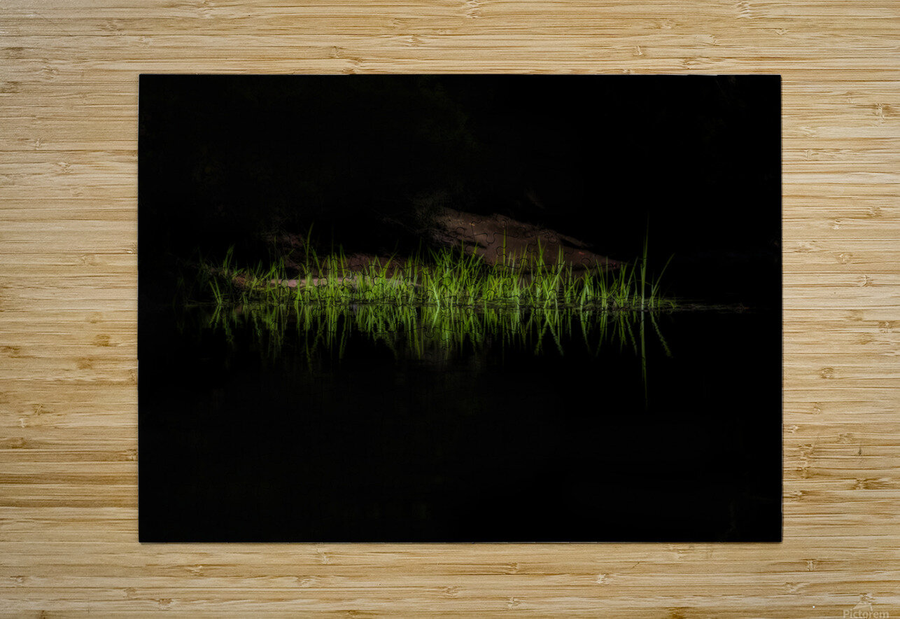 Grass along the rivers edge Daniel L Friend Puzzle printing