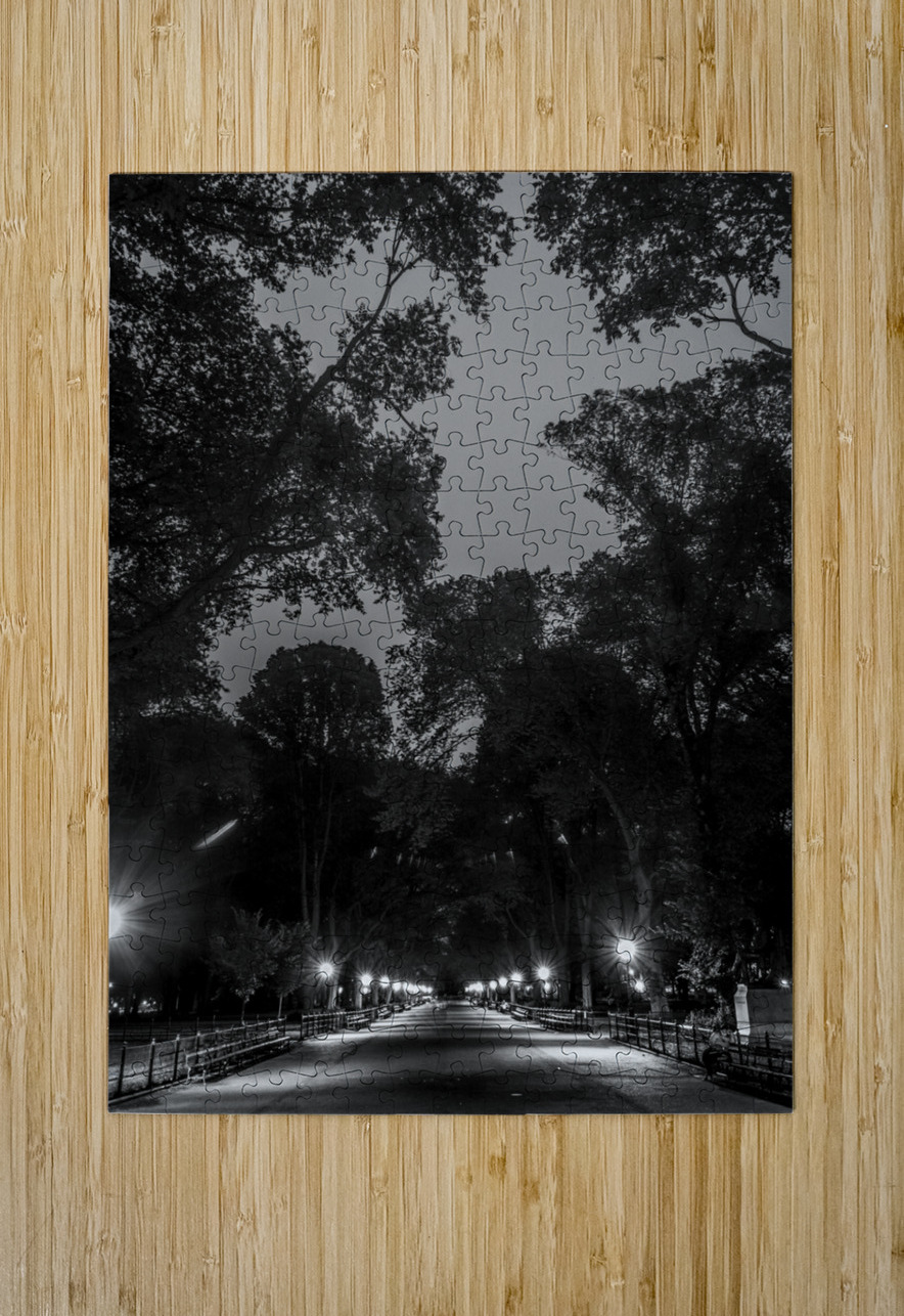 the mall central park  vertical 1466 Mall 13k Black And White Puzzle printing