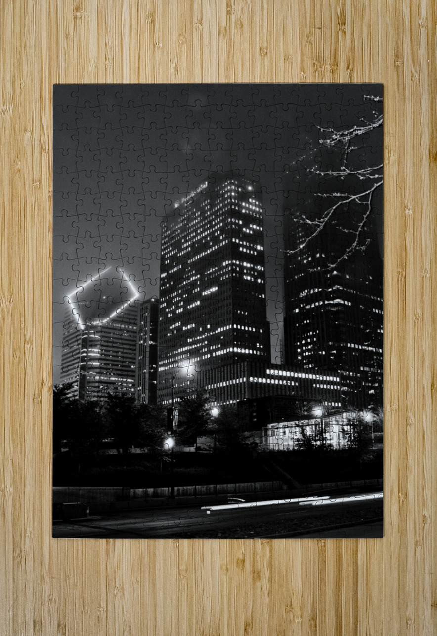 chicago skyline columbus drive randolph street  v Black And White Puzzle printing