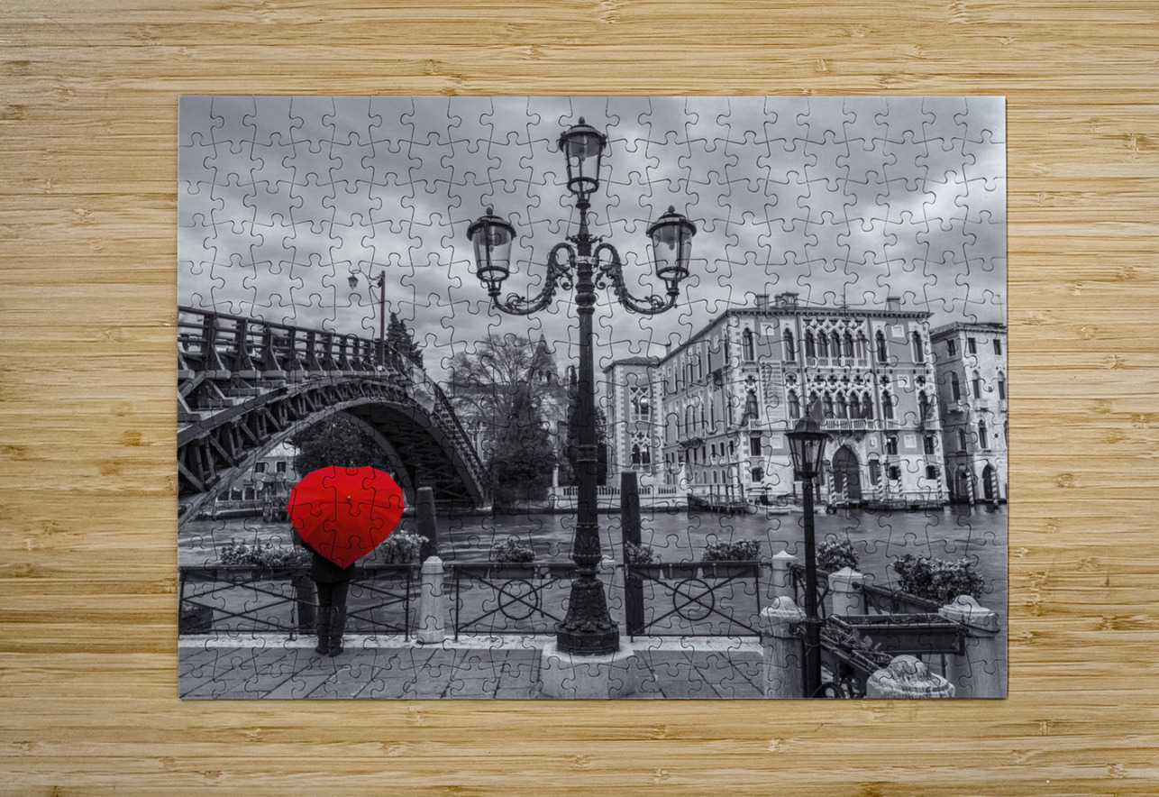 Accademia Bridge Venice Assaf Frank Puzzle printing