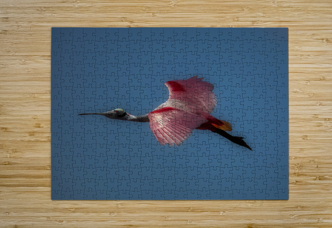 BIR 01721 John Walborn Promenade Photos Puzzle printing