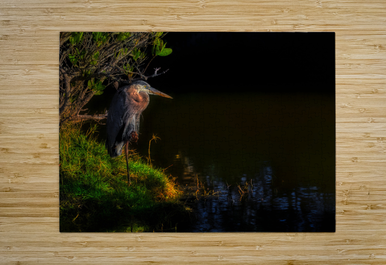 BIR 01718 John Walborn Promenade Photos Puzzle printing