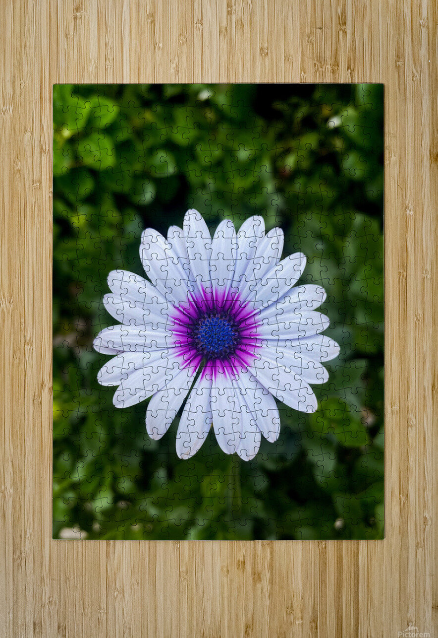 Perfect Courageous Design by MaRiA Puzzle printing