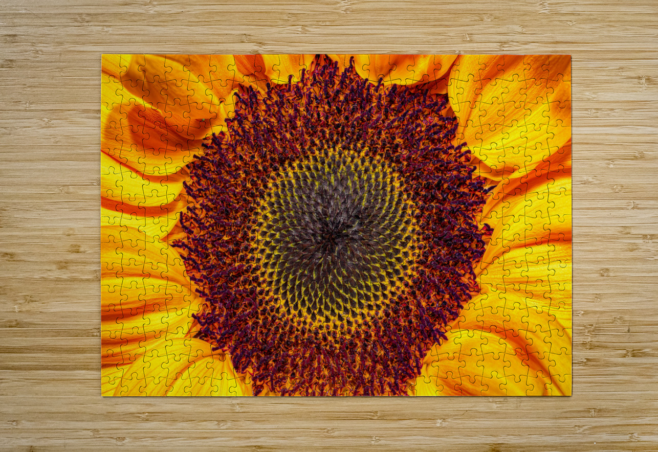 FLO 01764 John Walborn Promenade Photos Puzzle printing