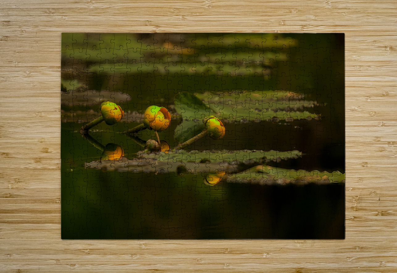 FLO 01759 John Walborn Promenade Photos Puzzle printing