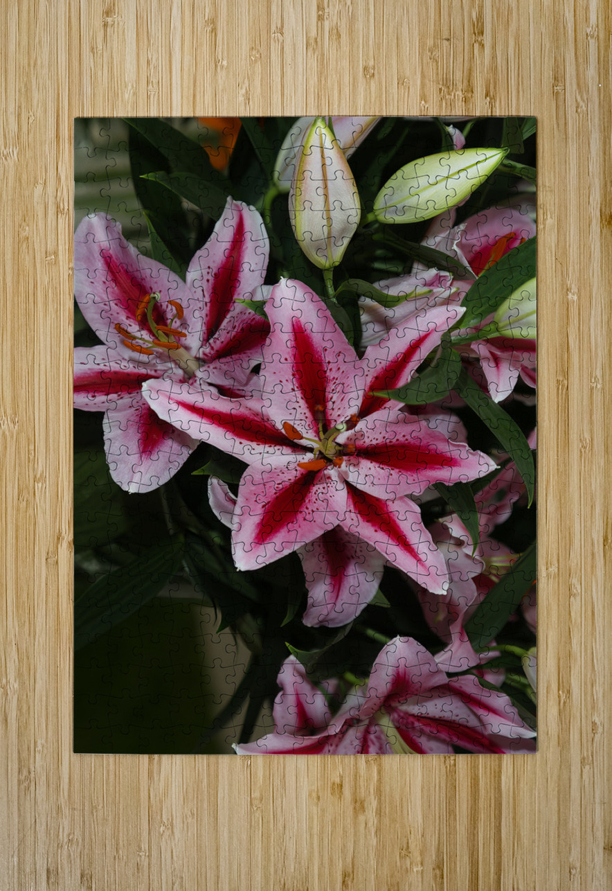 FLO 01810 John Walborn Promenade Photos Puzzle printing