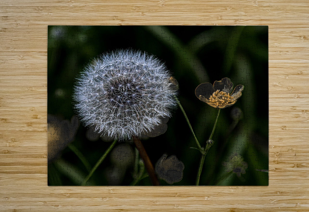 FLO 01805 John Walborn Promenade Photos Puzzle printing