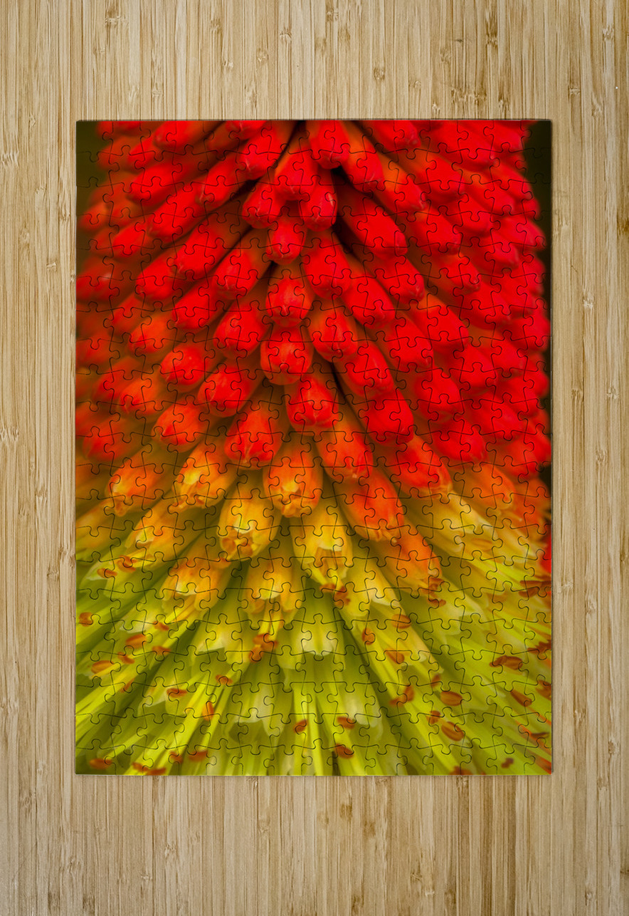 FLO 01822 John Walborn Promenade Photos Puzzle printing