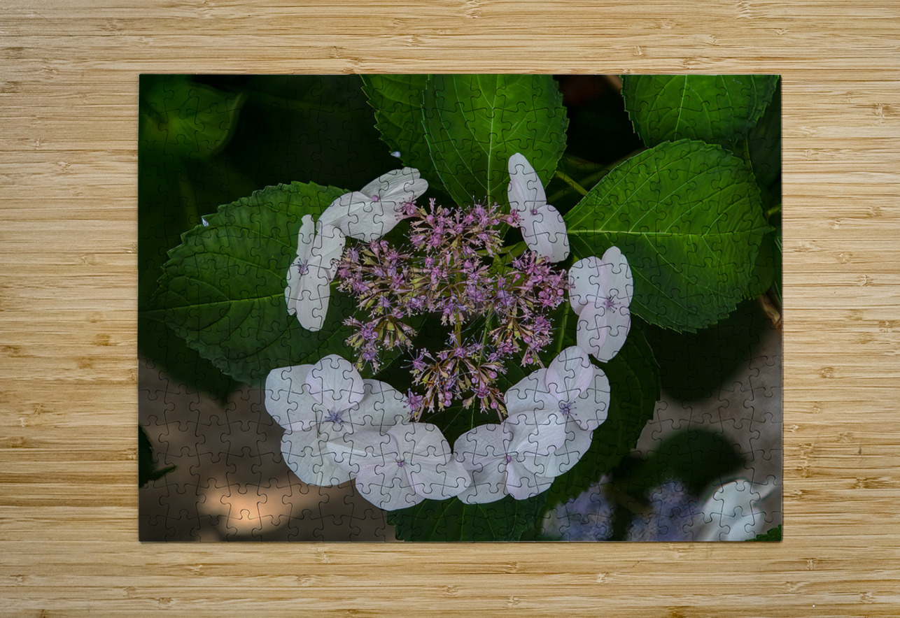 FLO 01773 John Walborn Promenade Photos Puzzle printing