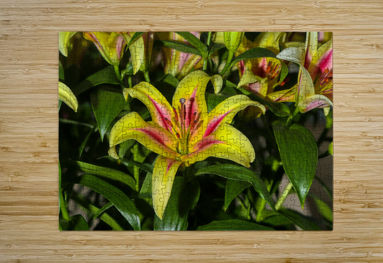 FLO 01809 John Walborn Promenade Photos Puzzle printing