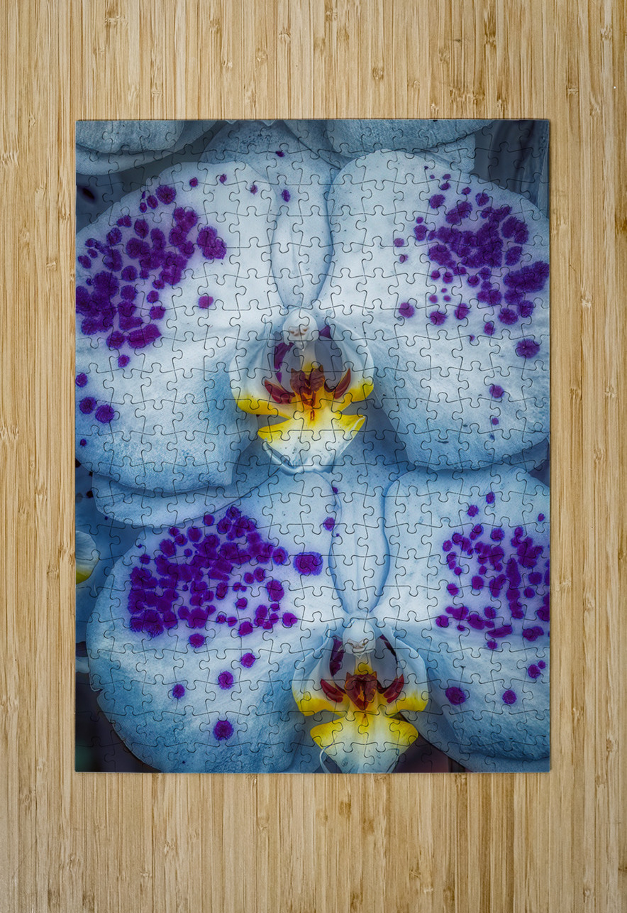 FLO 01813 John Walborn Promenade Photos Puzzle printing