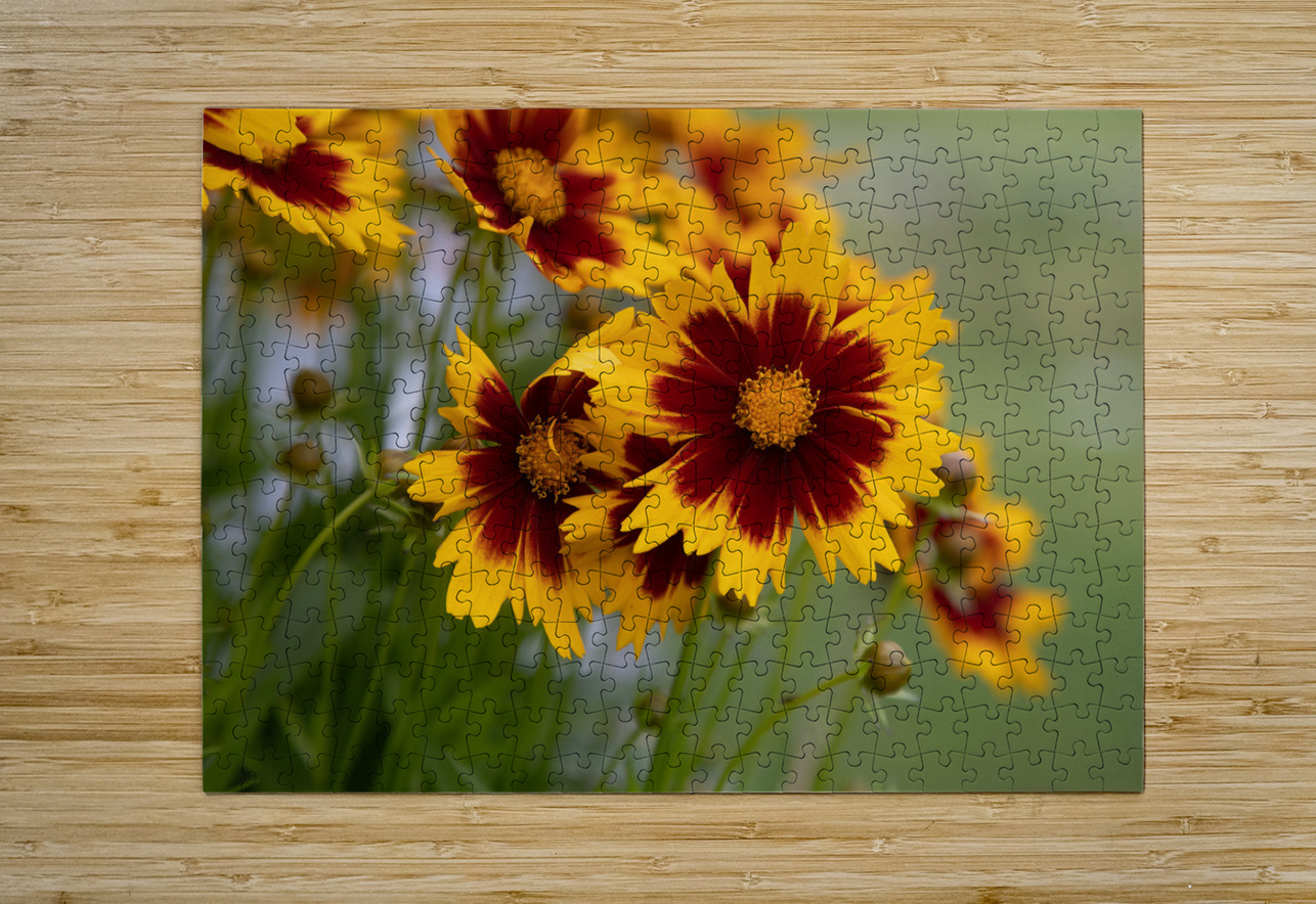 FLO 01801 John Walborn Promenade Photos Puzzle printing