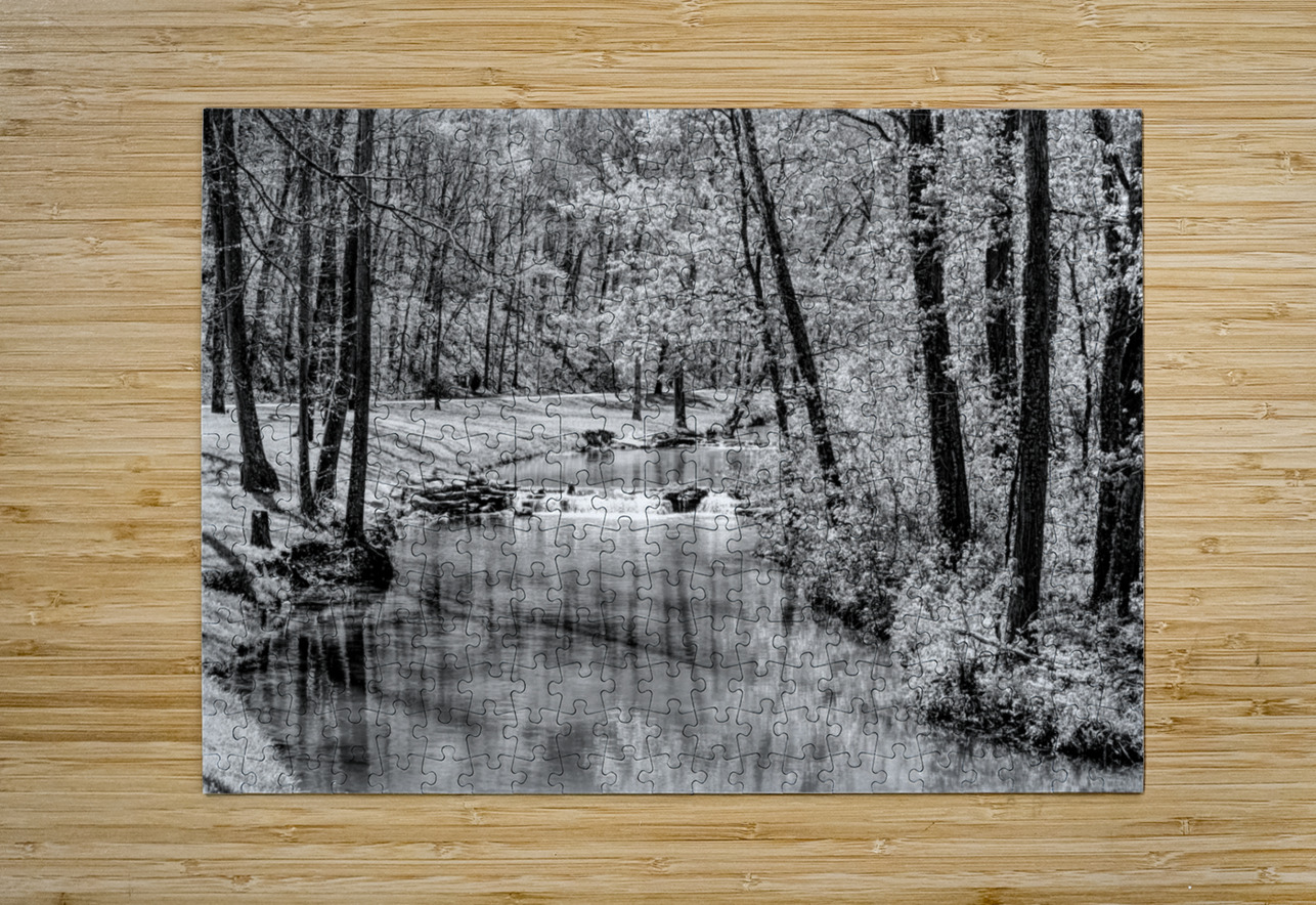 Spring Season Tranquility Grayscale Jennifer White Puzzle printing