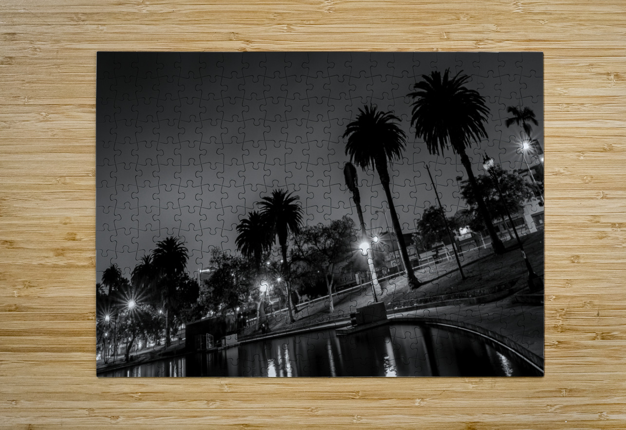 macarthur park at night  horizontal 2199 Urine 13 Black And White Puzzle printing