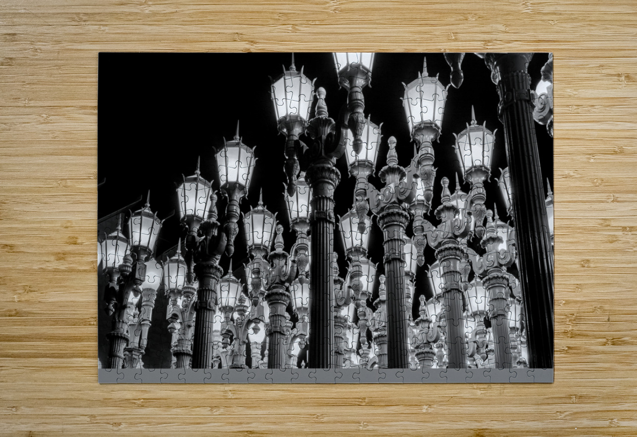 urban lights at LACMA  horizontal 2759 Urban 13k. Black And White Puzzle printing