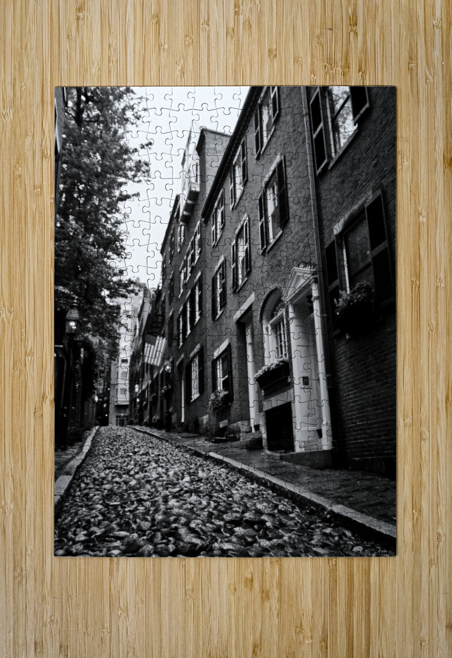acorn street beacon hill  vertical 1369 Acorn 13k Black And White Puzzle printing