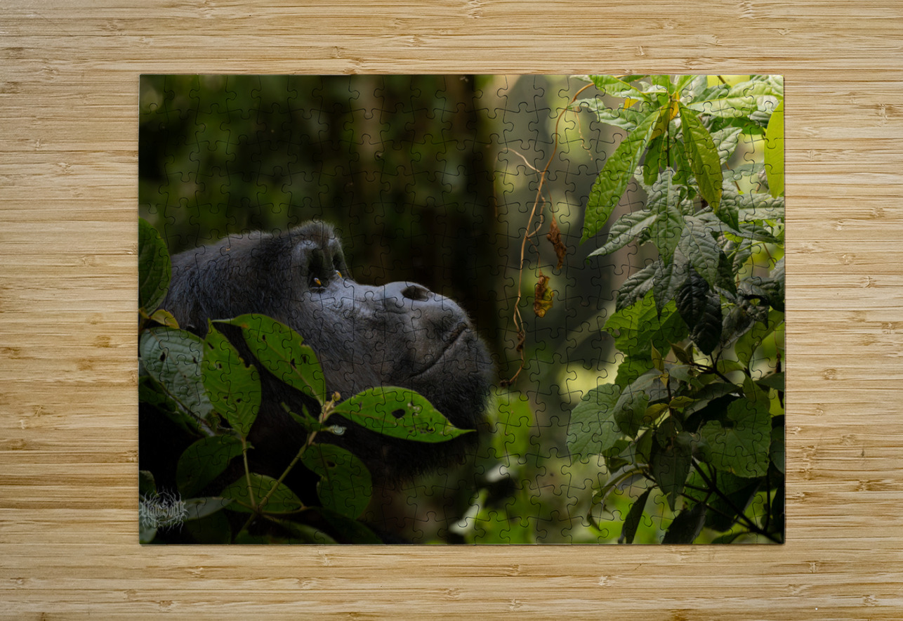 Lookin to Sky to Save Me Nate Solo Puzzle printing