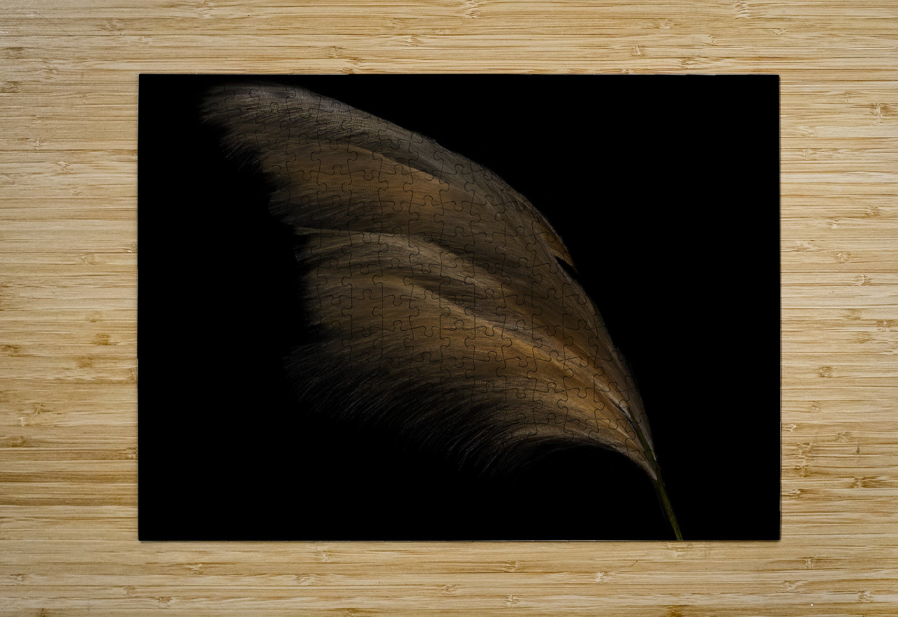 MIS 01903 John Walborn Promenade Photos Puzzle printing